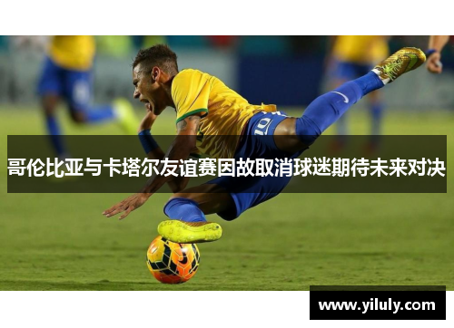 哥伦比亚与卡塔尔友谊赛因故取消球迷期待未来对决