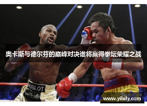 奥卡斯与德尔芬的巅峰对决谁将赢得拳坛荣耀之战